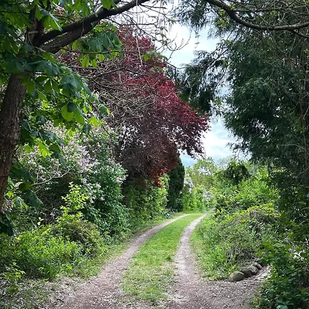 Heuscheune Muehlenhagen Kemping