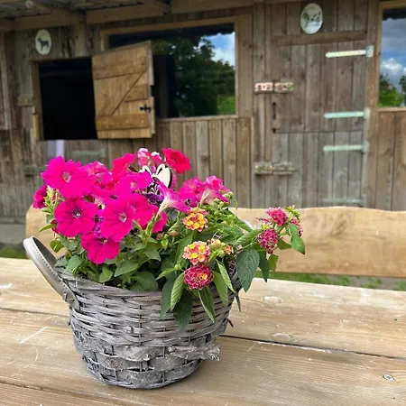 Heuscheune Muehlenhagen * Burow (Mecklenburgische Seenplatte)