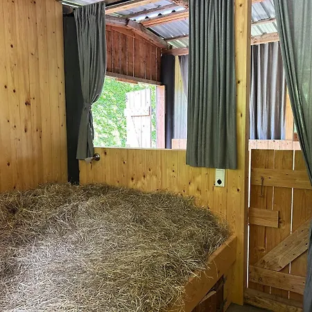 Kemping Heuscheune Muehlenhagen